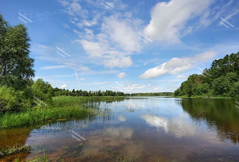 Карточка предложения