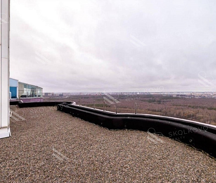  пентхаус площадью 217,6 кв.м.