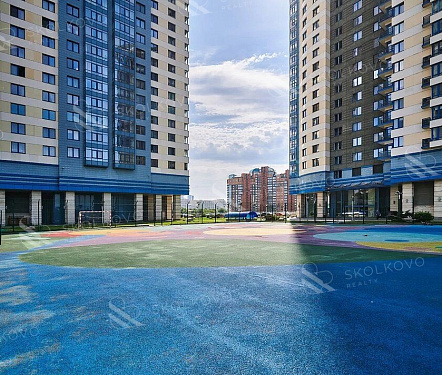 Воробьевы Горы