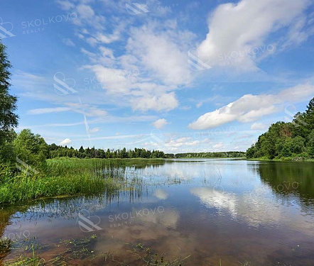 участок площадью кв.м.