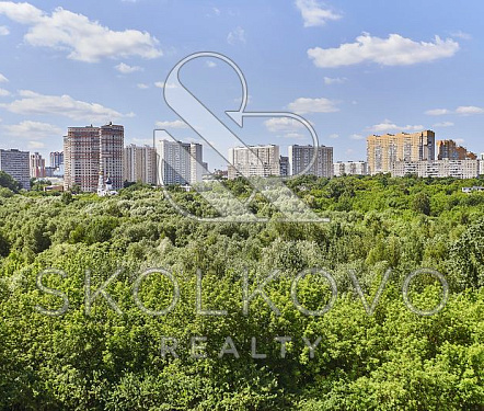 Кутузовская Ривьера